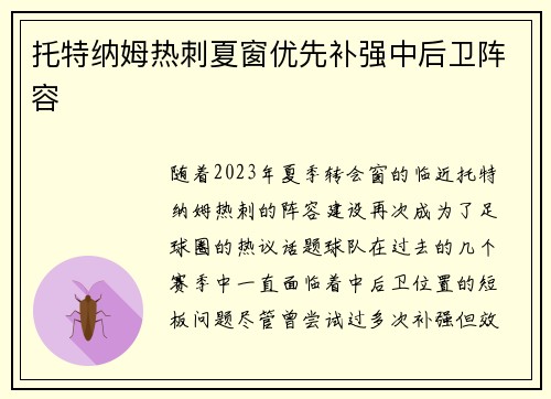 托特纳姆热刺夏窗优先补强中后卫阵容